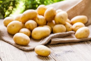 Bỉ tìm đường xuất khẩu khoai tây vào Việt Nam