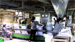 Rủi ro mất vốn ở dự án thua lỗ