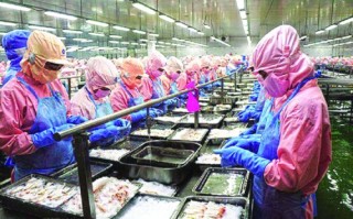 Đảm bảo chất lượng để đẩy mạnh xuất khẩu