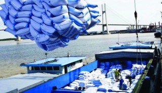 Phải chú trọng chất lượng gạo xuất khẩu