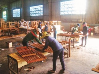 Xuất khẩu gỗ sang EU: DN chờ trong nghi ngại