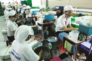 Hàng Việt vẫn có lợi thế
