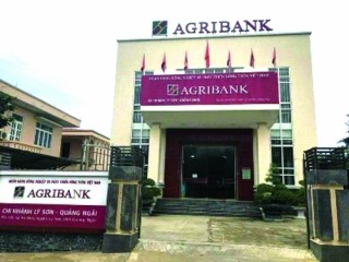 Agribank Lý Sơn: Điểm tựa vươn khơi bám biển
