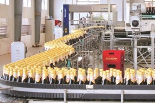 Kết luận sai, kiểm toán có chịu trách nhiệm?