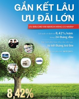 “Gắn kết lâu - Ưu đãi lớn” với lãi suất cố định chỉ 8,42%/năm từ VietinBank