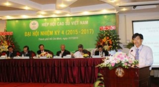 Giá trị sản phẩm cao su xuất khẩu tăng 21,3%/năm