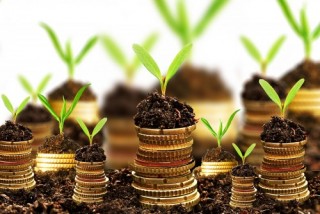 VEOF tối đa hóa lợi nhuận cho nhà đầu tư