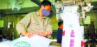 Dự án phân bón thua lỗ: Tính tới thoái vốn