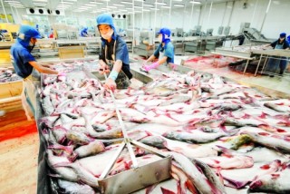 Nhiều cơ hội rộng mở từ thuế quan
