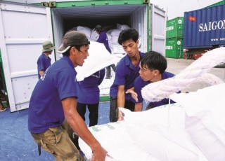 Cổ phần hóa DN nông nghiệp: Chủ chậm bán, khách ngại mua