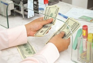 Chủ động nguyên liệu sẽ hưởng lợi từ tỷ giá