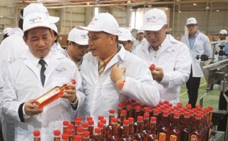 Kết quả kinh doanh: Những gam màu sáng - tối