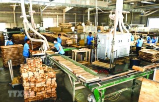 Thiếu nguyên liệu làm khó ngành gỗ