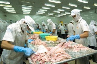 Thuỷ sản khó đạt mục tiêu