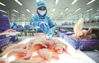 Nông sản và những áp lực
