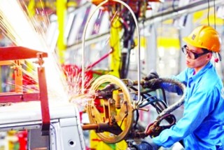 Hiệu quả đầu tư của DN ngoài nhà nước “đội sổ”