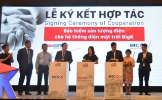 BIC cung cấp gói bảo hiểm sản lượng điện BigKilowatt