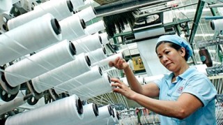 Chưa thoát cảnh gia công