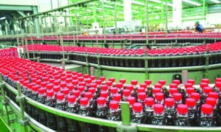 Đứng vững trên đôi chân của chính mình