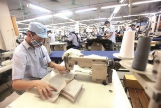 DN bỏ quên những biện pháp tự vệ cuối cùng