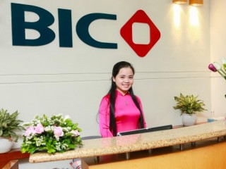 BIC lần thứ 6 liên tiếp đứng trong Top 1000 DN nộp thuế lớn nhất Việt Nam