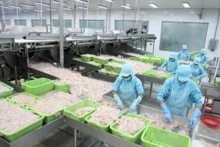 Chuyển dịch sang ngành thâm dụng lao động
