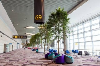 Vietnam Airlines chuyển nhà ga khai thác tại Singapore