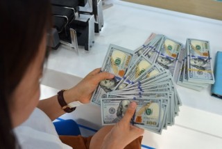 Thêm 2 đơn vị được NHNN cấp phép kinh doanh, cung ứng dịch vụ ngoại hối