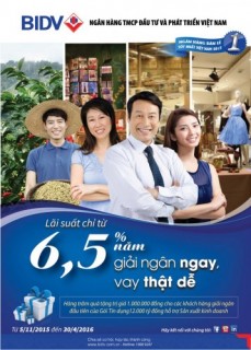 BIDV dành 12.000 tỷ đồng cho vay ưu đãi Tết Bính Thân 2016