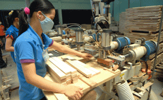 DNNVV tiếp tục là người vay quan trọng