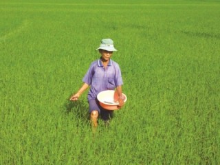 Phân bón và triển vọng dài hạn