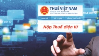 Doanh nghiệp nợ đọng thuế: Kiên quyết áp dụng biện pháp mạnh tay