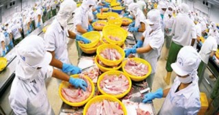 Sẽ có cổng thông tin về các hàng rào kỹ thuật