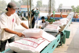 Liên kết để tự tin hội nhập