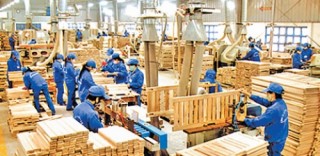 Ngành gỗ trước thách thức cạnh tranh nguyên liệu