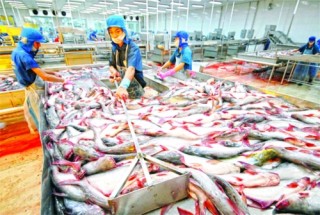 Thủy sản: Điểm sáng ấn tượng năm 2018