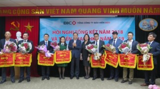 Năm 2018, lợi nhuận hợp nhất của BIC vượt 200 tỷ đồng