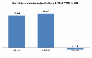 Nhập siêu khoảng 800 triệu USD trong tháng đầu năm 2019