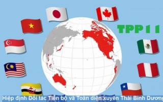Hiệp định CPTPP: Các trường hợp miễn chứng nhận xuất xứ hàng hóa