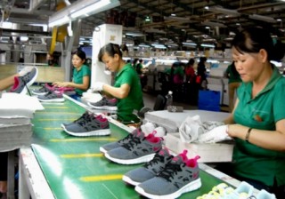 Thêm doanh nghiệp thuê 14,3 ha đất tại Khu công nghiệp Tân Phú