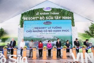 Khánh thành trang trại bò sữa độc lập lớn nhất Việt Nam