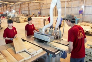 Giải pháp phát triển công nghiệp chế biến gỗ phục vụ xuất khẩu