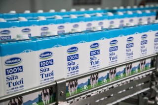 Thương hiệu Doanh Nghiệp, thương hiệu Quốc gia: Phát triển đã khó, bảo vệ khó hơn