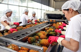 Nông nghiệp xuất siêu 2,58 tỷ USD trong 4 tháng đầu năm