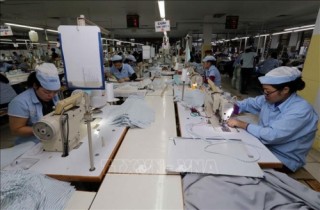 Ngăn chặn hàng nước ngoài đội lốt hàng Việt sang Mỹ