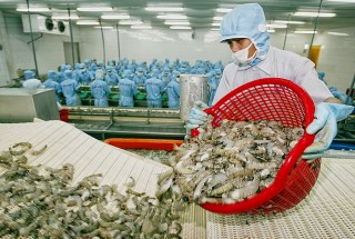 Công bố Danh sách “Doanh nghiệp xuất khẩu uy tín”