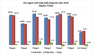 Nhập siêu xấp xỉ 880 triệu USD trong nửa đầu tháng 7