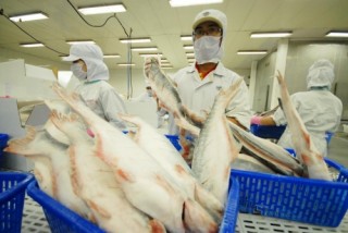 6 tháng, xuất khẩu thủy sản đạt 4 tỷ USD
