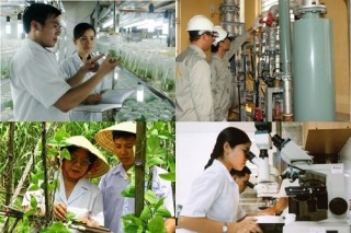 Miễn, giảm thuế cho doanh nghiệp khoa học và công nghệ