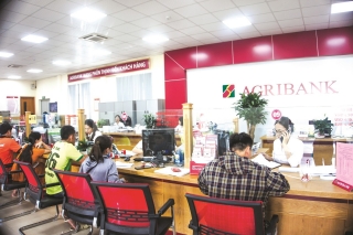 Agribank - kênh thanh toán dịch vụ công quốc gia